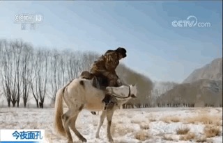 为国守边疆 全国唯一在编民兵骑兵队帅哭网友