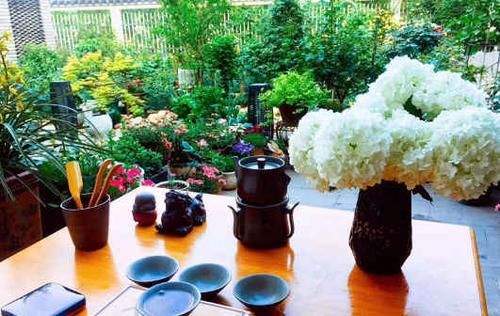  花园@想回到农村，把老家改造成花园，庭前种花，屋后种菜！