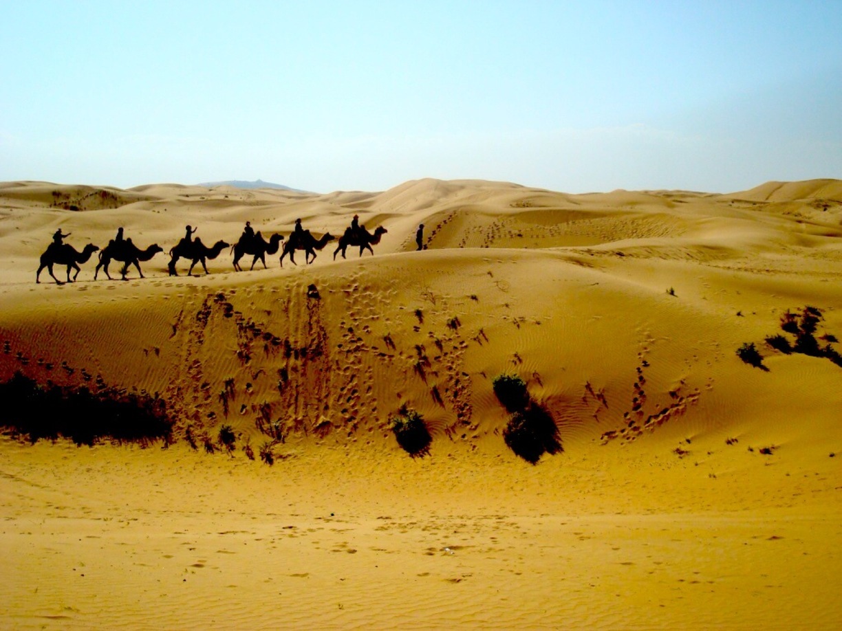 中国式奇迹：村民在电站养鸡羊，比上海大3倍的沙漠1/3变成绿洲