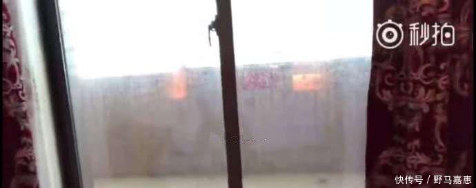 谢霆锋吐槽“中国好多水”, 被指责不爱国, 网友 你们村里刚通网