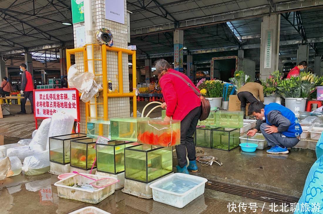  『迎来』开墟了，广州番禺最大民间集市迎来鼠年第一墟，愿此情此景不再见