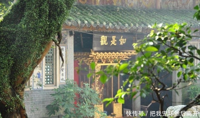 广东非著名寺庙, 却大有来头! 内藏千年荔枝树, 游客以吃它为荣