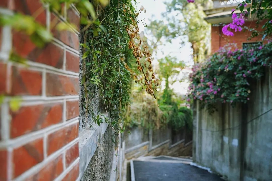 国内最“慢”的5座城市