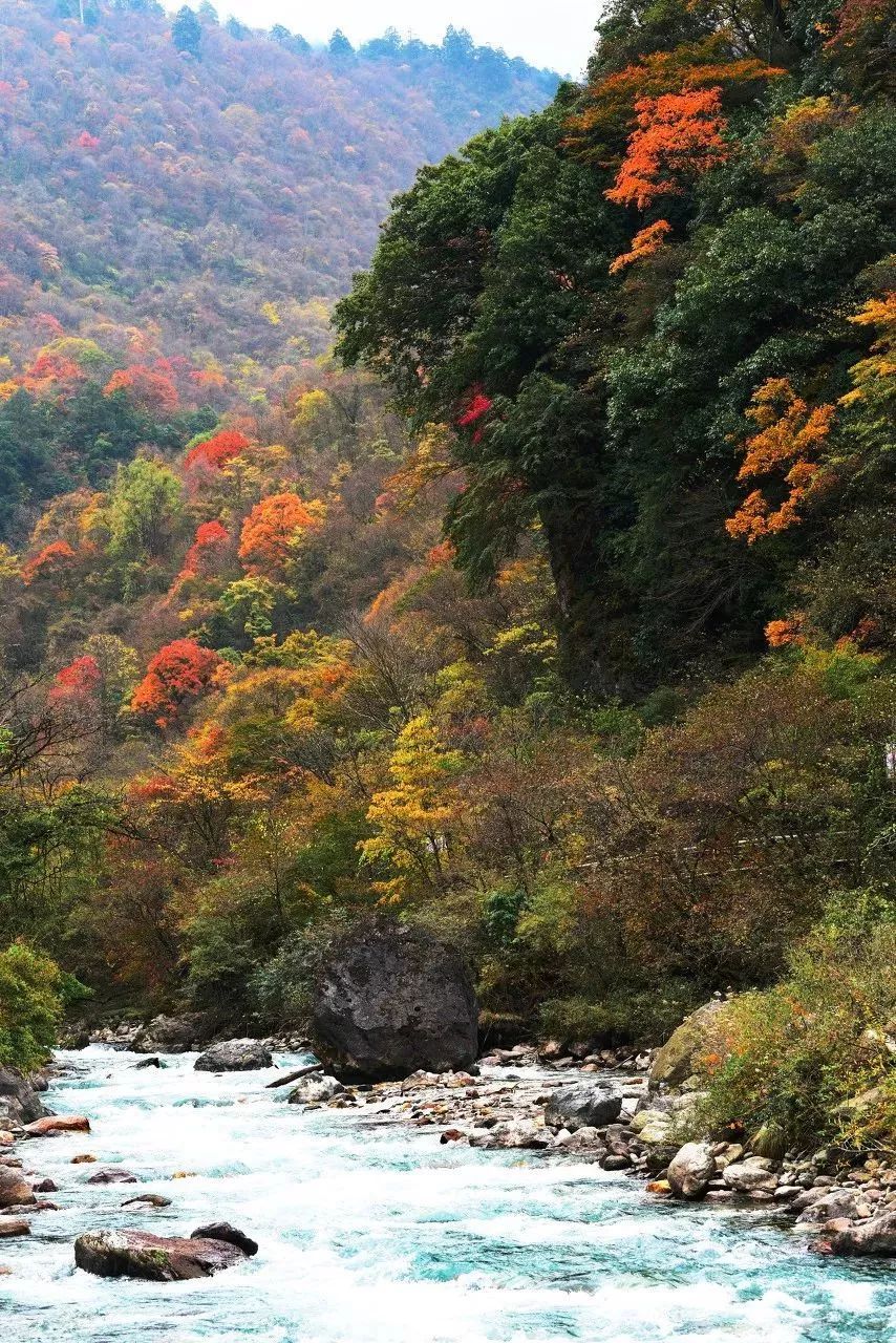 四川这座小城，叫板稻城亚丁，不输江南，藏着亚洲第一云海，高铁
