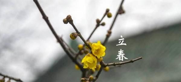 难逢双立春|20年将至，20年为鼠年双春年，鼠年双春年好不好？看
