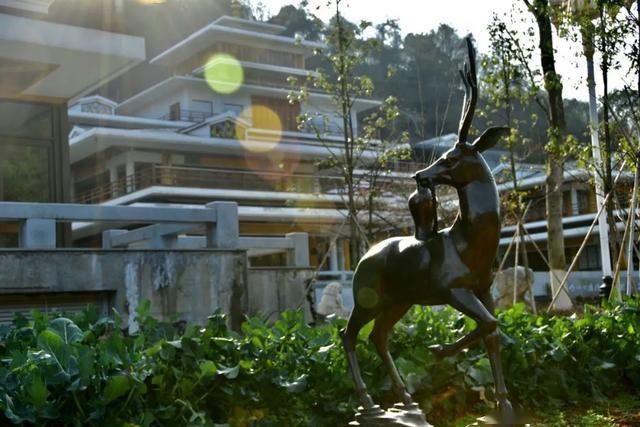  「日子」在湖北，想念寺院的这些日子，我们一起“云赏”春景