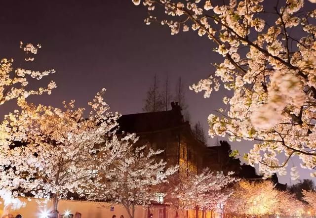 3月最值得去的国内旅行地,有2个很多人没听说过,却有绝美花海!