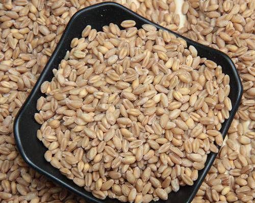  【筑巢材料】黯然销魂麦窝料制法宝典