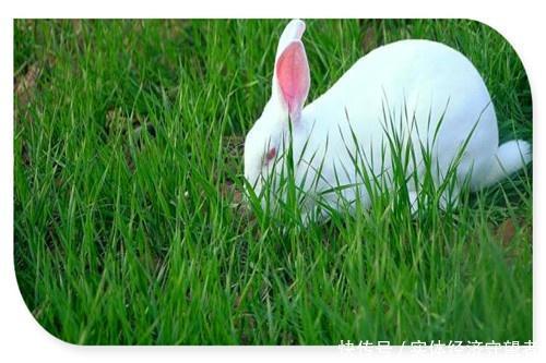  不外乎■农村靠什么赚钱呢？不外乎这几个行业，一定要选好项目