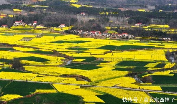 农村住房的通知下来了！有关农村建设的相关制度！