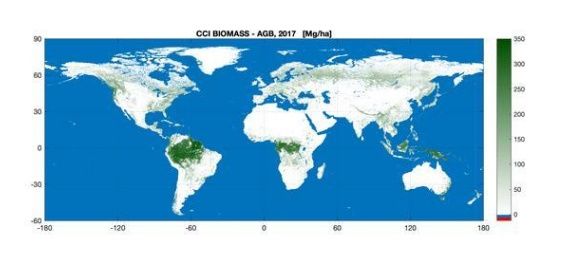  [增长]我国绿化出好消息，森林面积增长18%，地图显示中国越来越