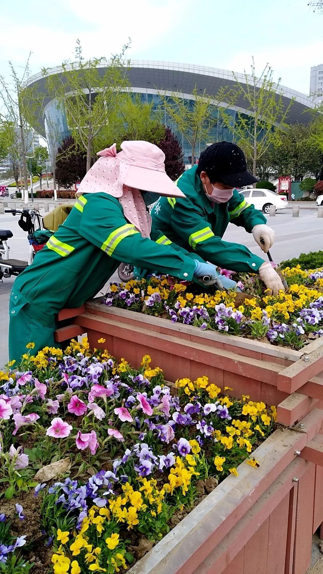  【簇拥】菏泽：鲜花簇拥牡丹城