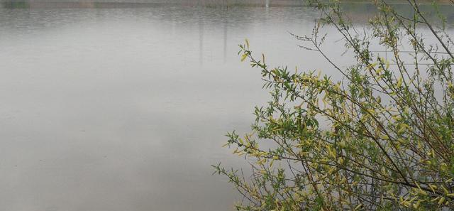 兰湖:母亲节延吉海兰湖垂钓,斤鲫拽走鱼竿很嚣张