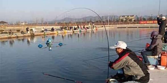  【轻信】不要轻信“偷驴”就需要小味型的饵料，详解“偷驴”味型应用方法