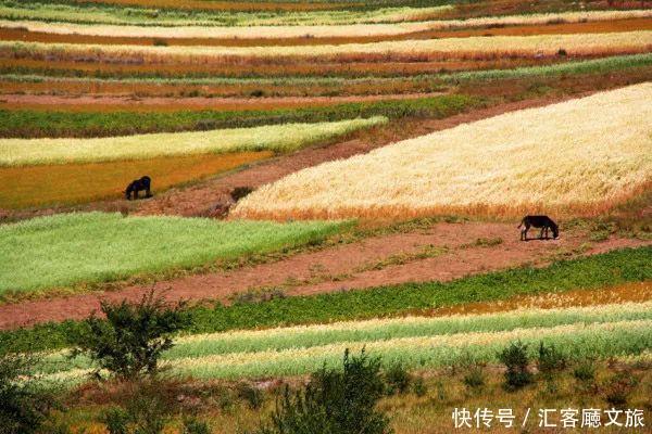 10处绝美秋季自驾打卡地,开车去看最美的风景