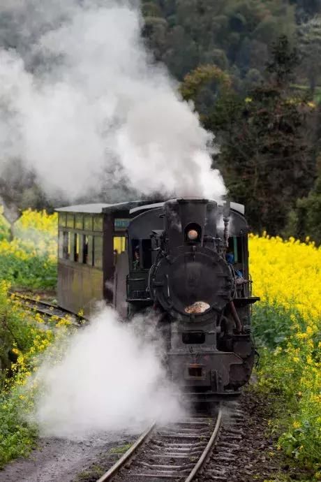 三月,去看中国最美春光