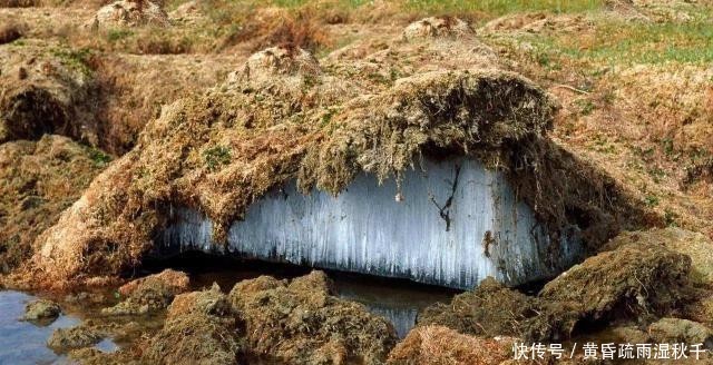 是好是坏?卫星发现海面冒出一块陆地,附近岛屿离奇消失