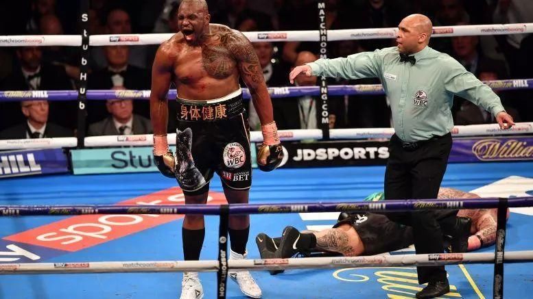 今晨,泰森接班人残暴KO,他才是维尔德的下一个