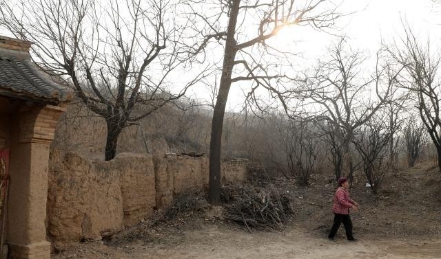 农村73岁老人独守百年黄土窑洞，她笑说住窑洞舒坦天天睡到自然醒