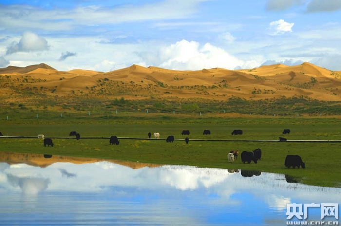 青海湖加强生态保护 整体生态功能持续增强