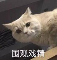 比起做秀说谎，薛之谦能让孩子出生，不骂他是过街老鼠，已是仁慈