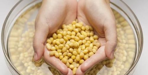  「叶绿茎」养花制肥难怎么办？用上1种'天然绿叶肥'，啥花都能叶绿茎粗