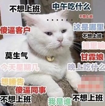 微信曝光3480万青年“私生活”，国庆宅家7天，步数不过百