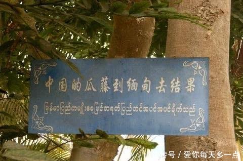 中国边界一村庄，天天出国娶媳妇都靠进口，外国人要崩溃