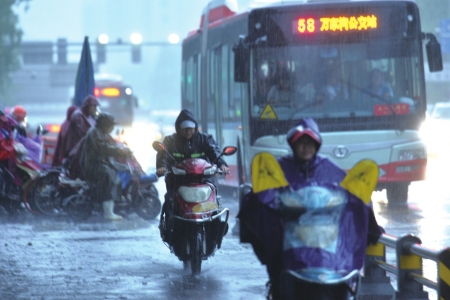 别信谣言 官方讲道理:没有科学论断和事实依据