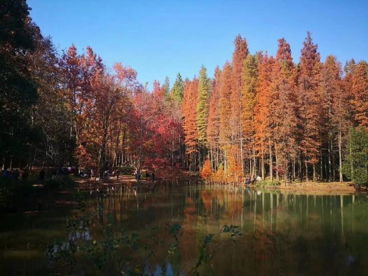 2019杭州最美旅游时间表出炉 承包你一整年的旅行！