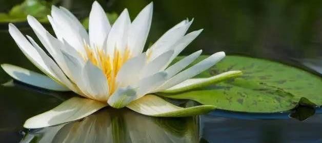 一些拍摄物体风光的技巧