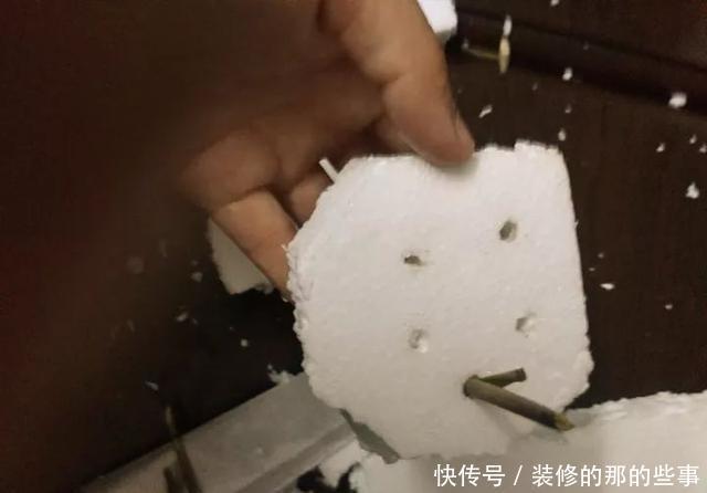  『执着的花盲』养花技巧：这5种花现在扦插，下个月就开花，千万别错过时机！