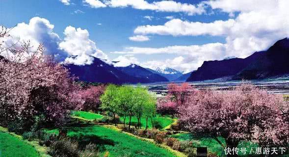 人间三月，桃红柳绿，杏花春雨，最美江南！