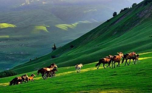 藏于新疆的绝美草原，令人神往，很少有人知道
