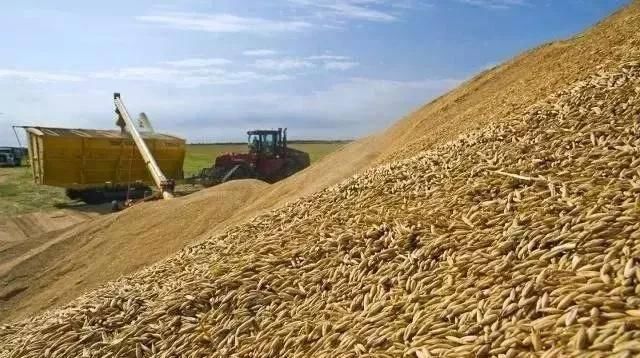  们农民：农民三问：一问粮价低二问烧荒错哪，三问清洁煤好哪，