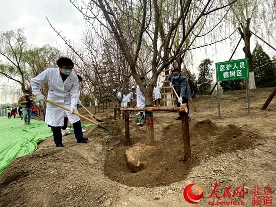  「生态」助推生态文明建设 北京东城开展全民义务植树活动