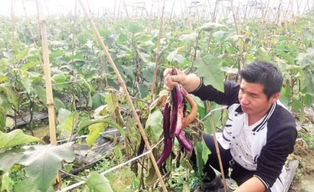  村子@中国这个村子农民宁愿耕田，也不出去打工，究竟是为何？