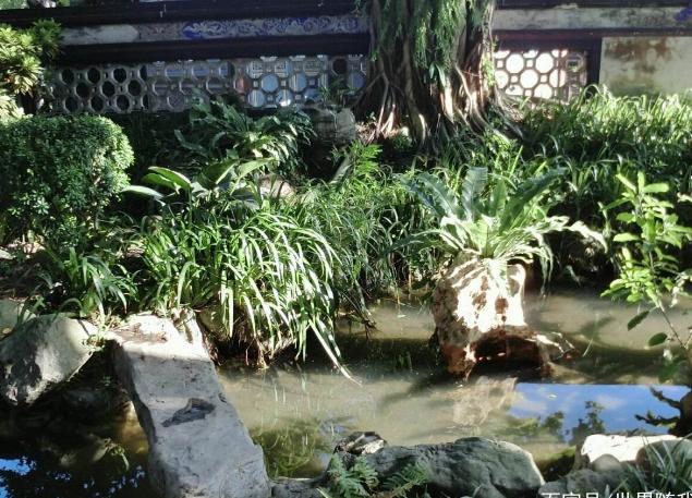 我国最小的省会城市，面积比香港小5倍，却是世界发达城市