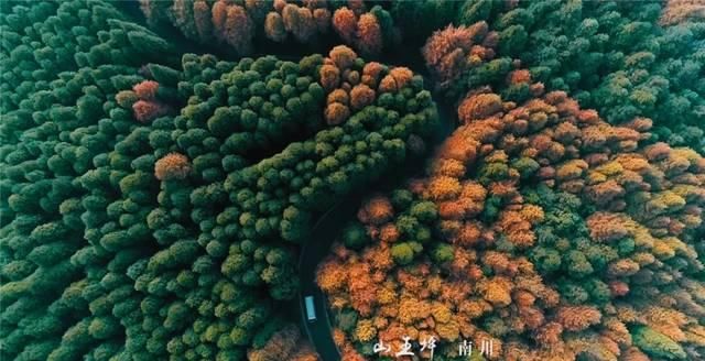 重庆彻底火了！又拿全国第一，网红城市当之无愧！