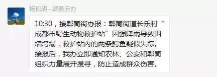辟谣！四川暴雨与石犀移位无关，鳄鱼均在救护站内！这10个谣言不