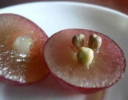 睡前脸上擦一点,一周一次皮肤白里透红,斑点皱纹到六十都见不到