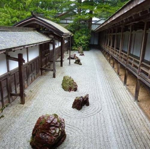  「花园」禅宗花园，一个没有蚊虫的美丽花园！