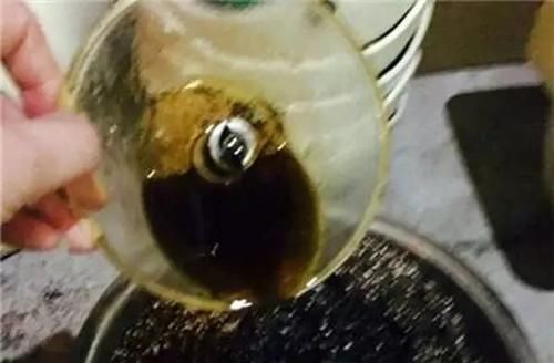 『都是可以』家家都有的1种液体,用来养花,养啥都爆盆,四季不黄叶!