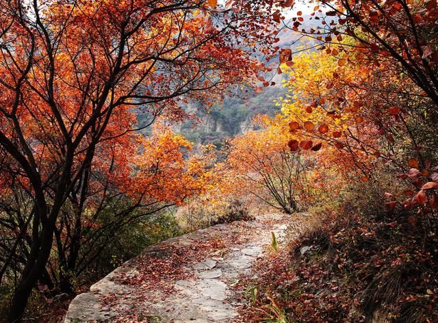 瑜伽山（草垛山）观弥勒赏红叶，融入自然亲近大地