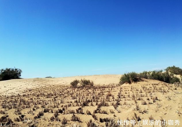  成了■中国最大沙漠塔克拉玛干，当年耗资上亿种下的植物，如今