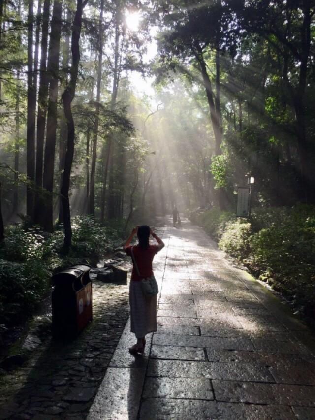  『翠色』翠色参天叶七出，这样的虎跑清新又灵动~