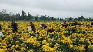  「理事会」国际军体理事会主席致辞：军运村是个典范