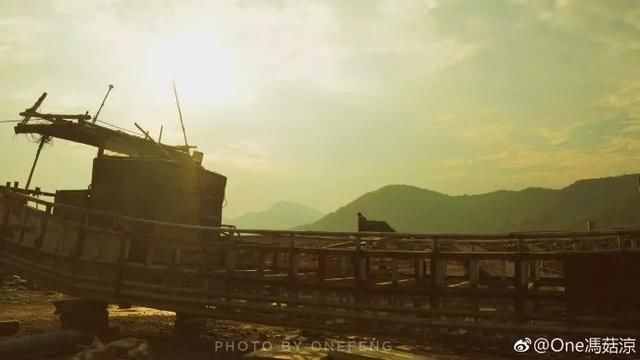 霞浦海域惊现中华白海豚，央视新闻联播都报导了