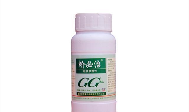 绿植|介壳虫成灾?别担心,这些方法轻松治愈你心爱的绿植!