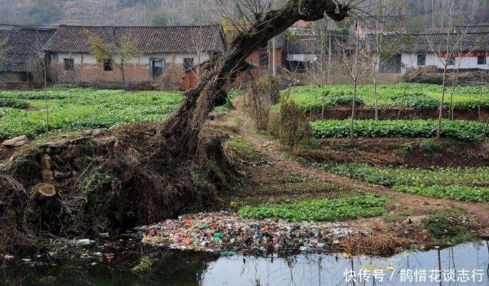  「落实」村干部将带头落实农村的这6种情况，如情况较为严重将会